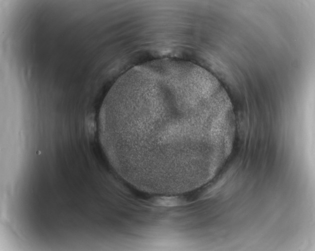 X0000095130085200712211338