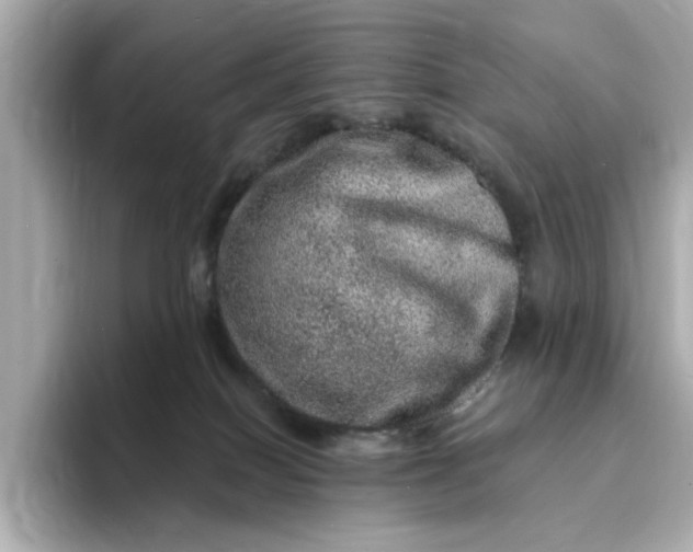 X0000095130086200712211338