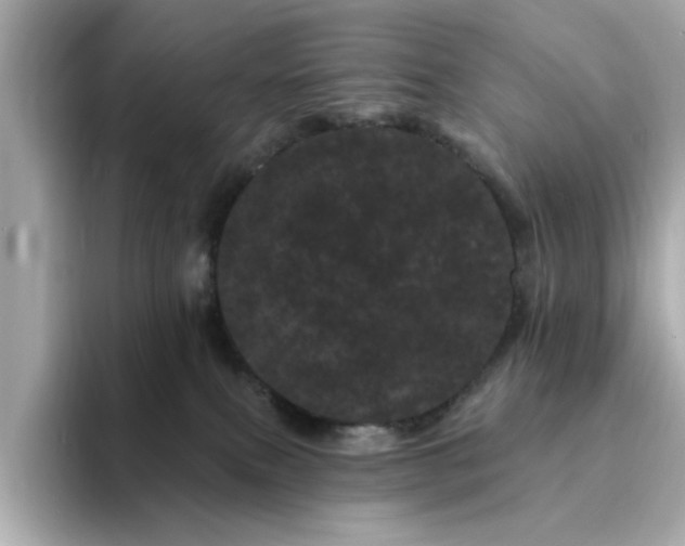 X0000095130087200712211338