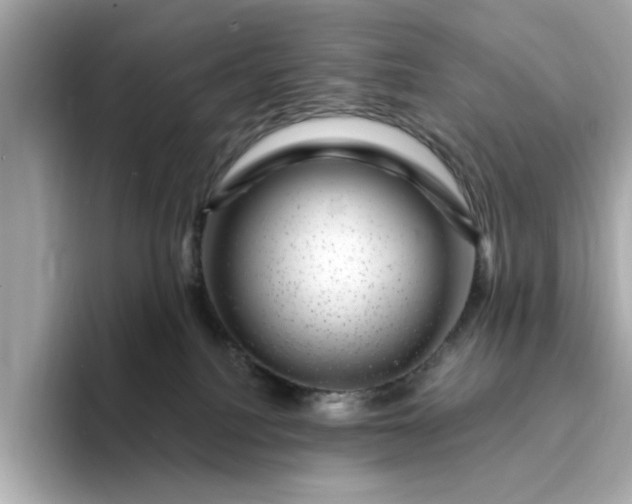 X0000095130088200712211338