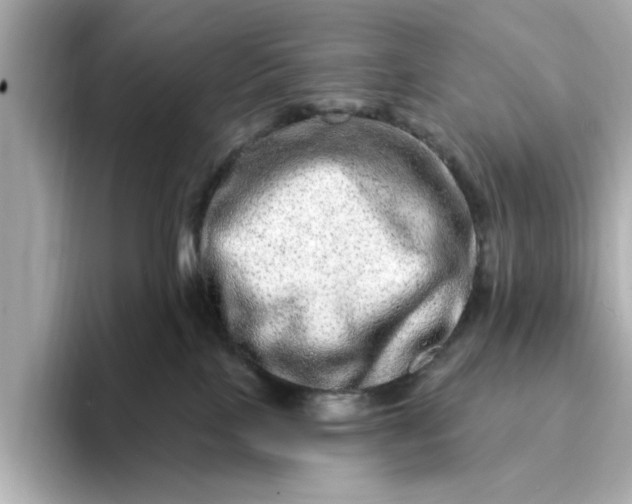 X0000095130089200712211338