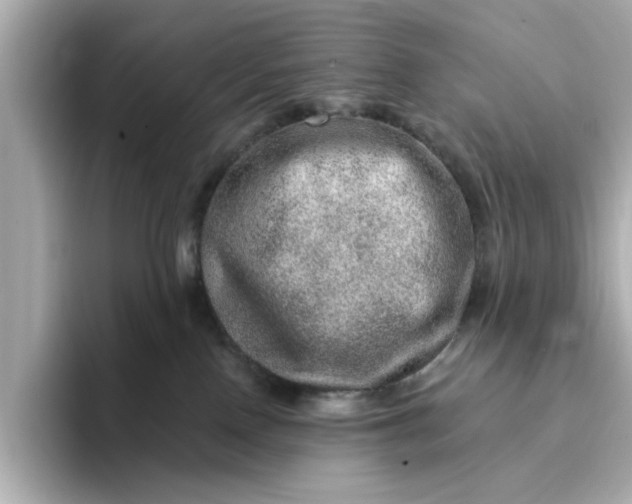 X0000095130090200712211338