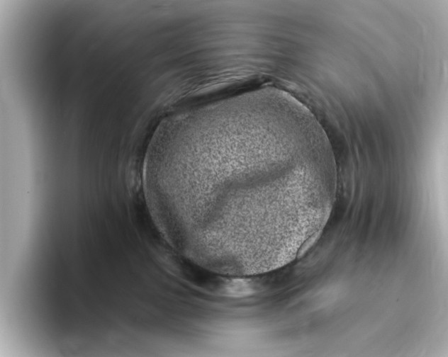 X0000095130091200712211338