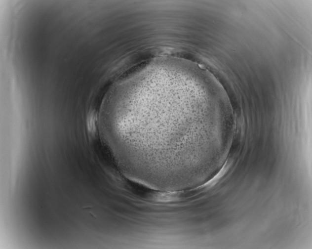 X0000095130094200712211338