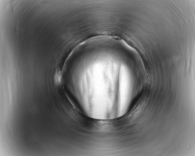 X0000095130095200712211338