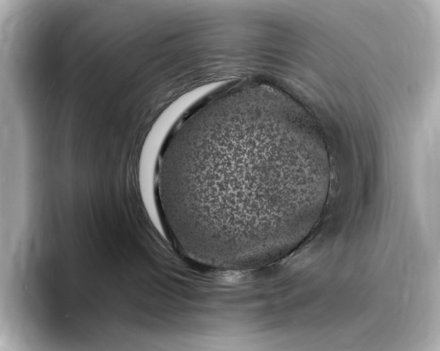 X0000095130096200712211338