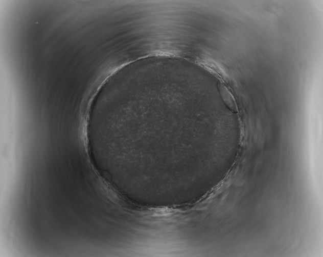 X0000095130098200712211338