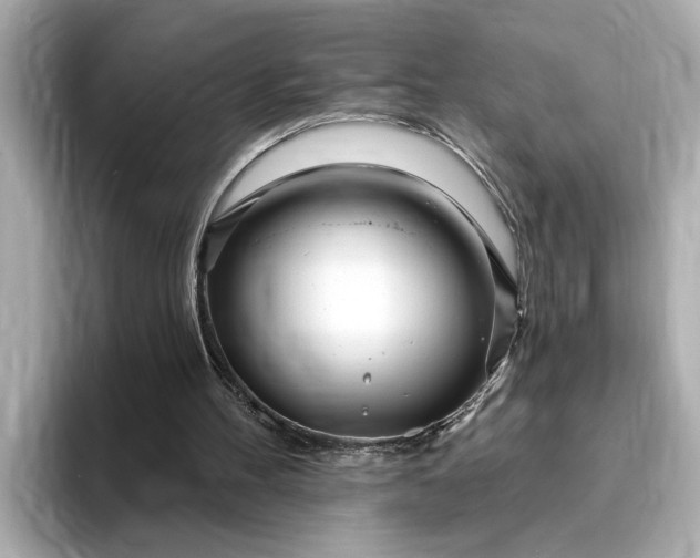 X0000095130100200712211338