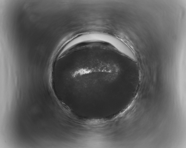 X0000095130101200712211338