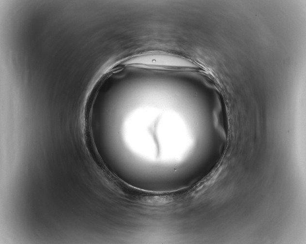 X0000095130102200712211338