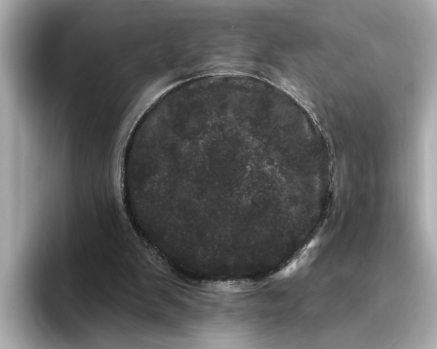 X0000095130103200712211338