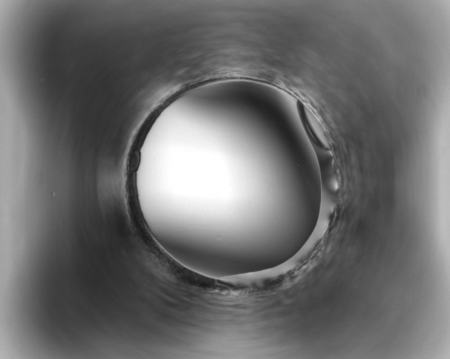 X0000095130104200712211338