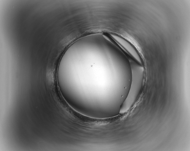 X0000095130105200712211338