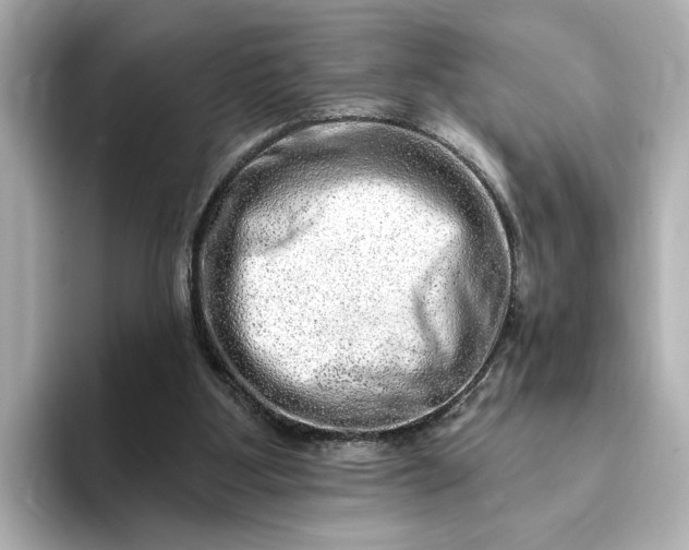 X0000095130107200712211338