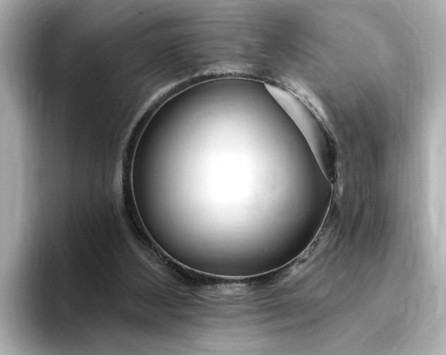 X0000095130108200712211338