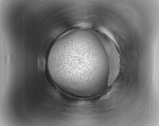 X0000095130109200712211338