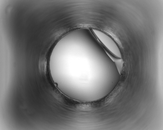 X0000095130110200712211338