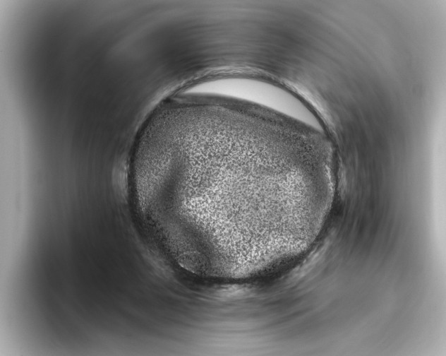 X0000095130111200712211338