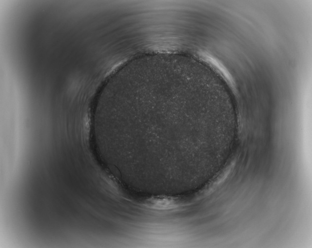 X0000095130113200712211338