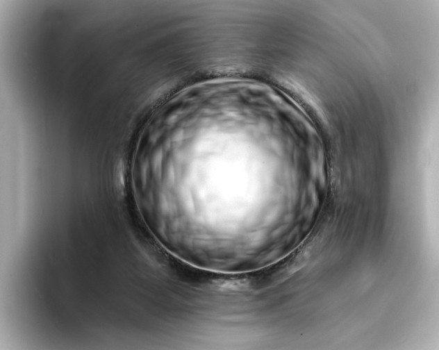 X0000095130115200712211338