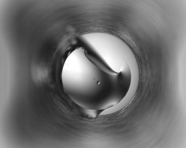 X0000095130116200712211338