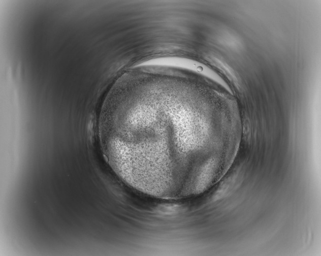 X0000095130119200712211338