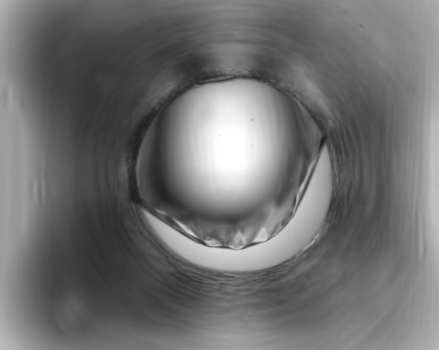 X0000095130120200712211338