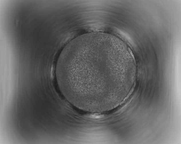 X0000095130121200712211338