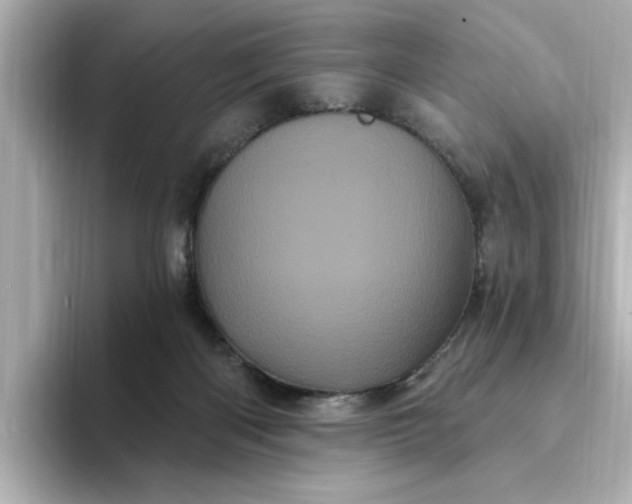 X0000095130122200712211337