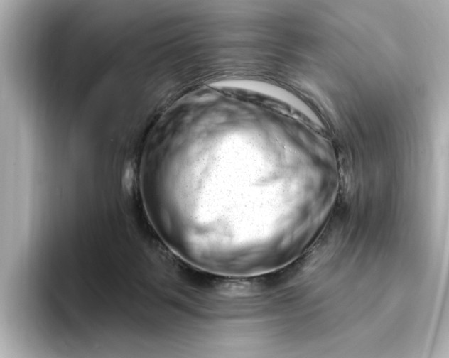 X0000095130123200712211337