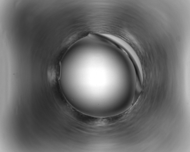 X0000095130124200712211337