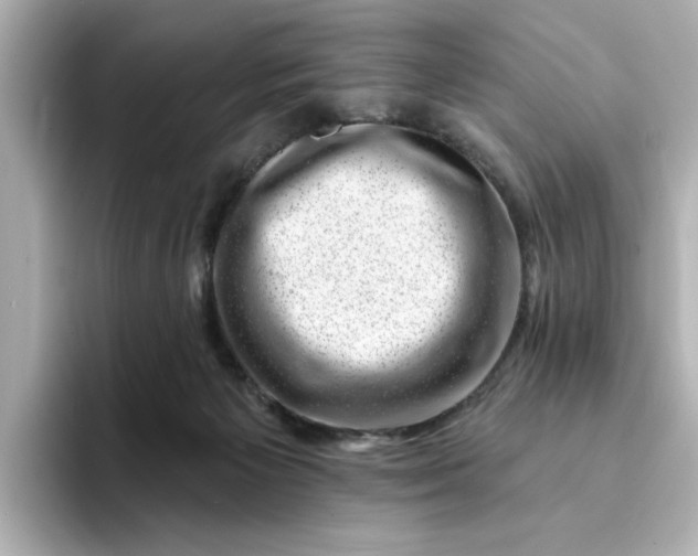 X0000095130125200712211337