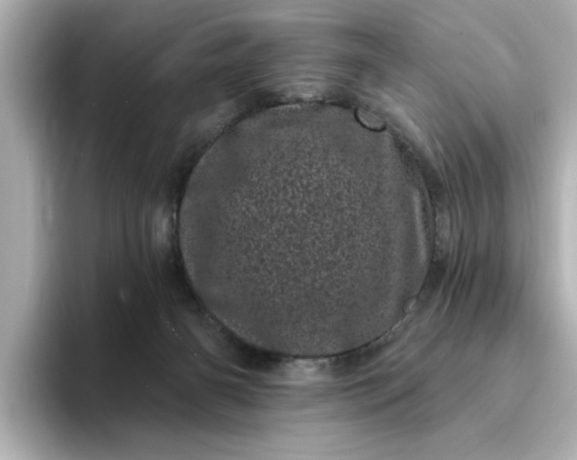 X0000095130126200712211337