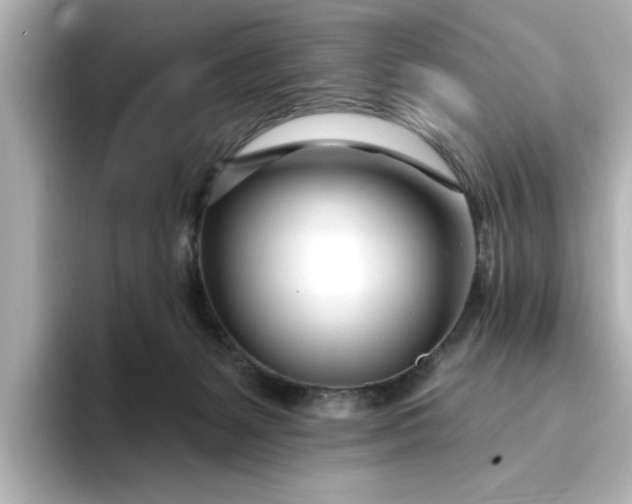 X0000095130127200712211337