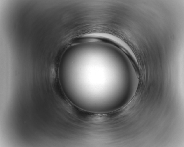 X0000095130128200712211337