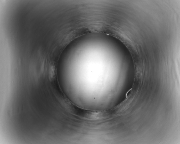 X0000095130130200712211337