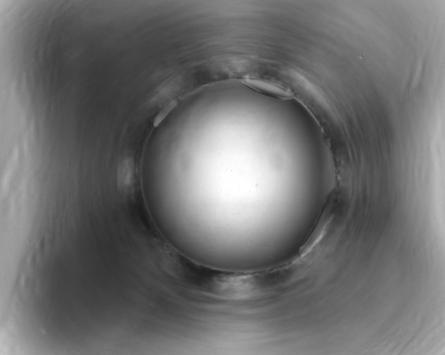 X0000095130132200712211337