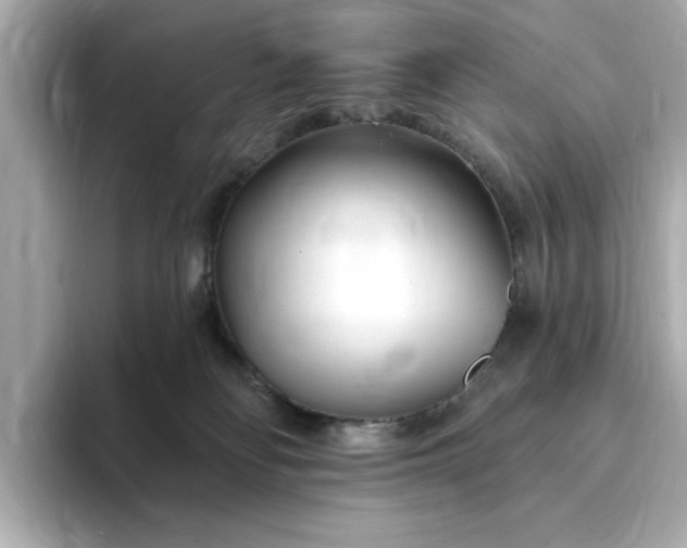 X0000095130134200712211337