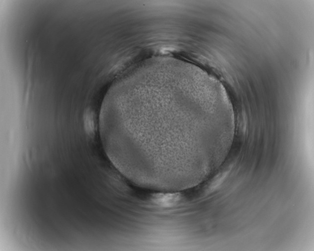 X0000095130135200712211337