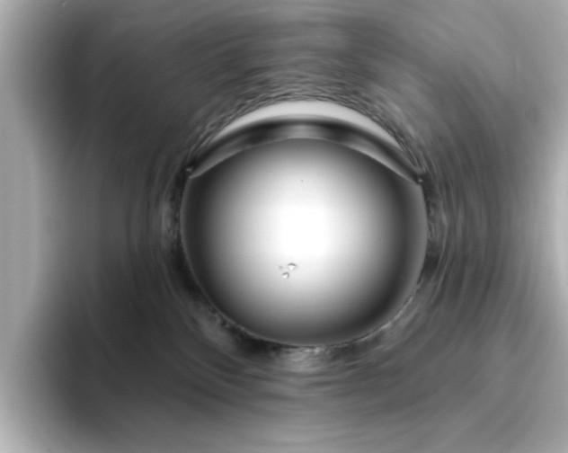 X0000095130136200712211337