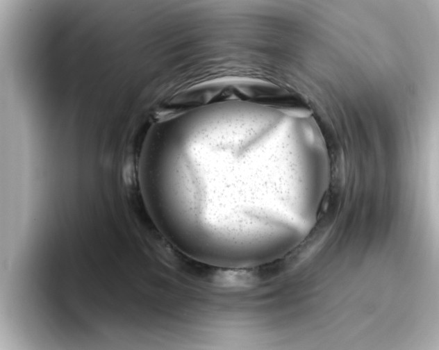 X0000095130137200712211337