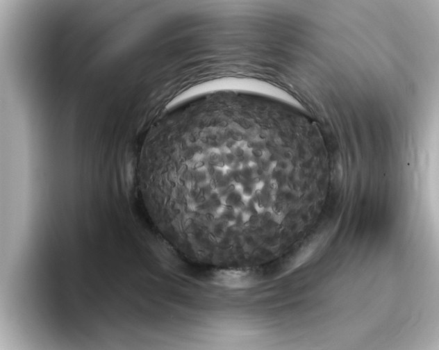 X0000095130139200712211337