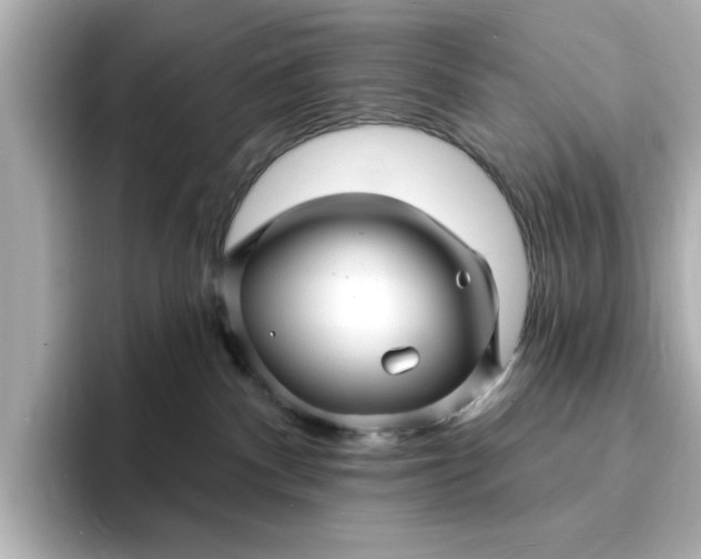 X0000095130140200712211337