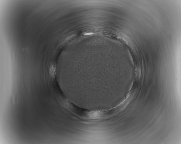 X0000095130142200712211337