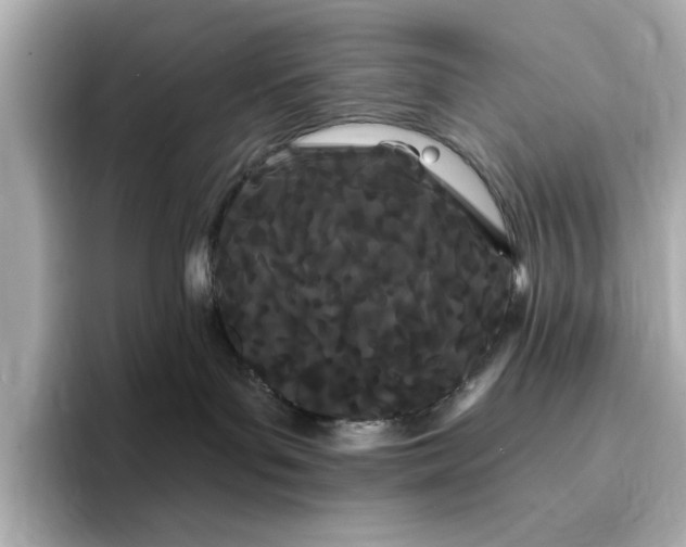 X0000095130143200712211337