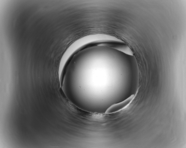 X0000095130144200712211337