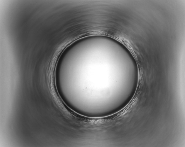 X0000095130145200712211337