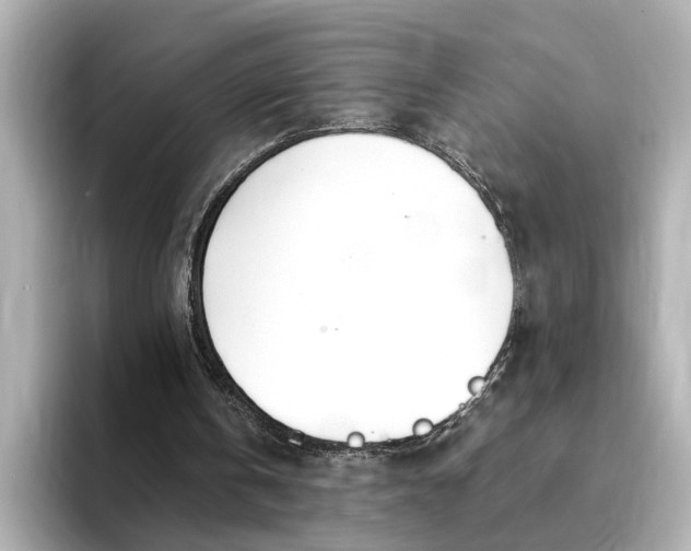 X0000095130146200712211337