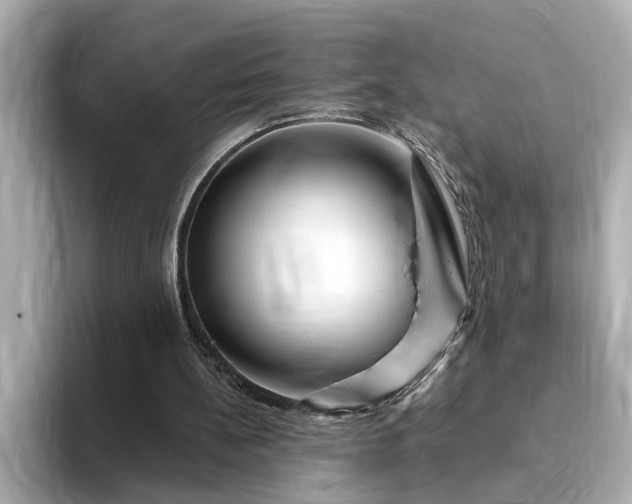 X0000095130148200712211337