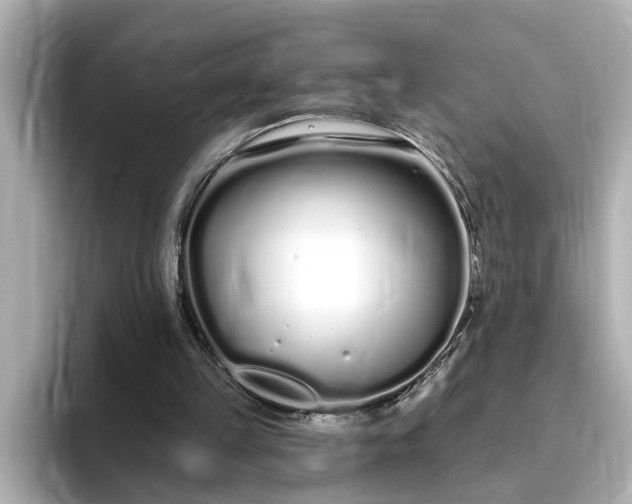 X0000095130149200712211337